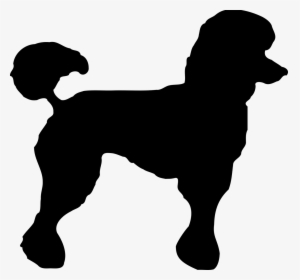Silhouette Of A Poodle Transparent Background, HD Png Download, Transparent PNG