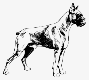 Full Body Dog Drawing, HD Png Download, Transparent PNG