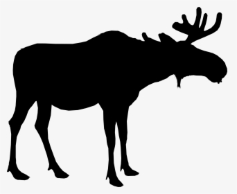 Moose Silhouette Deer Vector Graphics Portable Network - Moose Transparent Background, HD Png Download, Transparent PNG