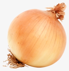 Brown Onion Png Image - Onion Png, Transparent Png, Transparent PNG