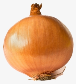 Onion Png Background - Large Onion, Transparent Png, Transparent PNG