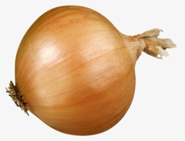 Vidalia Onion, HD Png Download, Transparent PNG