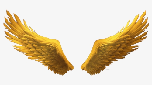 #goldenwings #goldwings #golden #gold #wings #wimg - Gold Angel Wings Png Transparent, Png Download, Transparent PNG