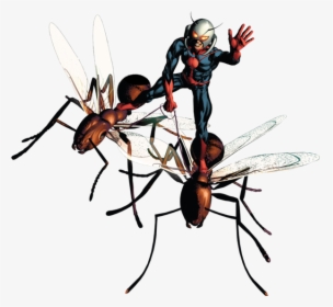 Ant-man Well, Back To Sucking Again - Comic Ant Man Transparent, HD Png Download, Transparent PNG