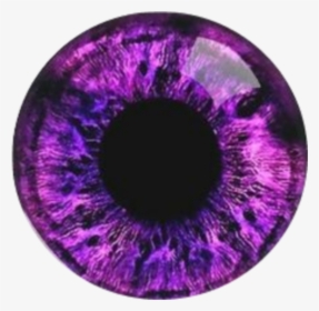Printable Purple Eye Iris, HD Png Download, Transparent PNG