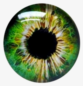 #greeneyes #eye #contacts #eyeballs - Circle, HD Png Download, Transparent PNG