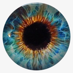 #eyeball #eyeballs #aquaeyes @iamlpinthe312 #freetoedit - Circle, HD Png Download, Transparent PNG