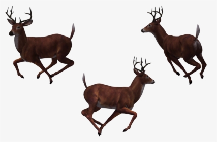 Deer - Cartoon Group Of Deer, HD Png Download, Transparent PNG
