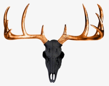 White-tailed Deer Antler Wall Decal Skull - Faux Deer Skull, HD Png Download, Transparent PNG