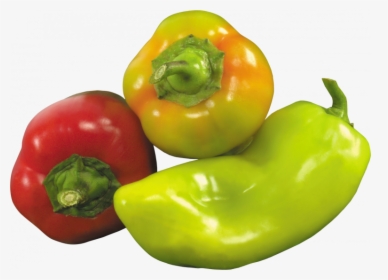 Now You Can Download Pepper Icon Png - Bell Pepper Price Philippines, Transparent Png, Transparent PNG