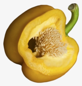 Bell Pepper Transparent - Bell Peppers And Chili Peppers, HD Png Download, Transparent PNG