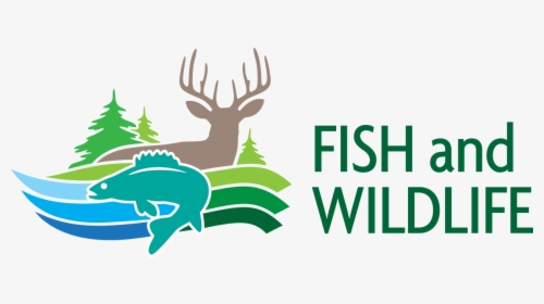 Fish And Wildlife - Deer Tag Ontario 2019, HD Png Download, Transparent PNG