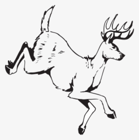 Deer And Fawn Run Clipart, HD Png Download, Transparent PNG