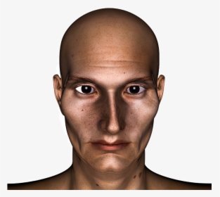 Bald Human Transparent, HD Png Download, Transparent PNG