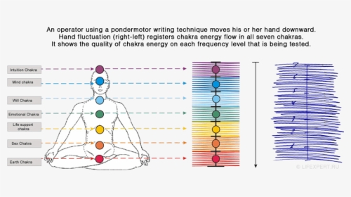 Seven Chakra Test - 7 Levels Of Chakra, HD Png Download, Transparent PNG