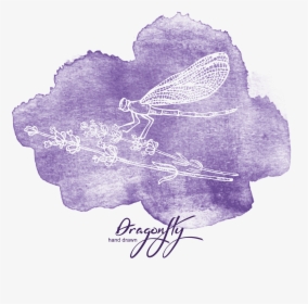 Svg Stock Creative Watercolor Painting Purple Dragonfly - Watercolor Painting, HD Png Download, Transparent PNG