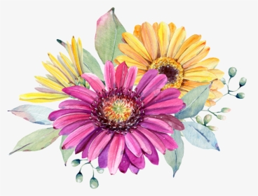 Hand Painted Purple Chrysanthemum Png Transparent - Watercolor Chrysanthemum Png, Png Download, Transparent PNG