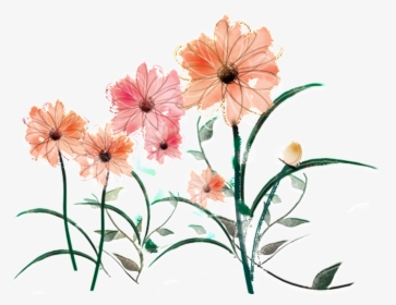 Fresh Water Pink Hand Painted Chrysanthemum Decorative - Illustration, HD Png Download, Transparent PNG