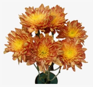 Chrysanthemum Flower Chrysanthemum Flower - Bouquet, HD Png Download, Transparent PNG
