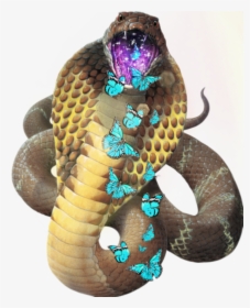 🐍desafio🐍 @picsart  @bellaprincessbr - Cobra Green Snake Png, Transparent Png, Transparent PNG
