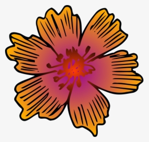 Chrysanths,plant,flower - Barberton Daisy, HD Png Download, Transparent PNG