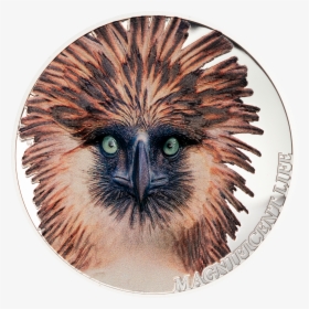 Nazi Eagle Png, Transparent Png, Transparent PNG