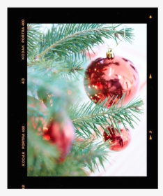 Solo Image - Christmas Ornament, HD Png Download, Transparent PNG