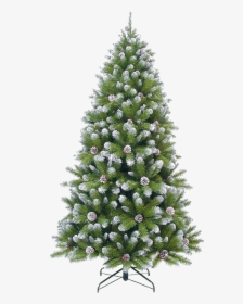 Christmas Tree Branch Png, Transparent Png, Transparent PNG