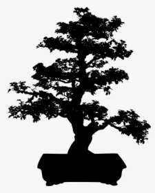 Bonsai Miniature Tree Free Photo - Bonsai Tree Clip Art, HD Png Download, Transparent PNG