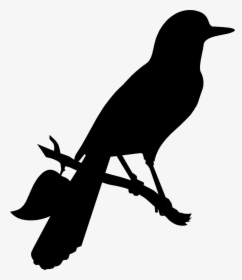 American Crow Clip Art Advertising Fauna Silhouette - Raven, HD Png Download, Transparent PNG