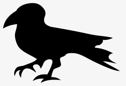 Raven, HD Png Download, Transparent PNG