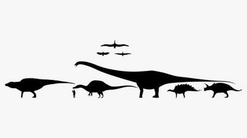 Dinosaur Silhouette Scale, HD Png Download, Transparent PNG