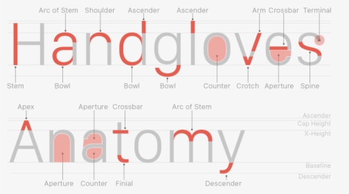 Anatomy Of Sans Serif Typography, HD Png Download, Transparent PNG