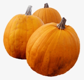 Thanksgiving Pumpkin Png , Png Download - Pumpkin, Transparent Png, Transparent PNG