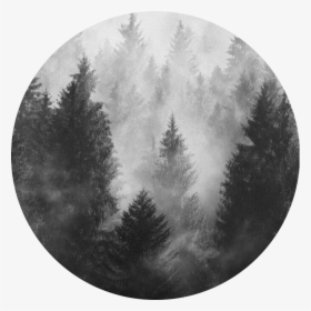 #circle #grey #aesthetic #freetoedit - Black And Grey Aesthetic Forest, HD Png Download, Transparent PNG
