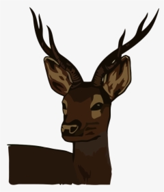 Vintage Deer Head - Clip Art, HD Png Download, Transparent PNG
