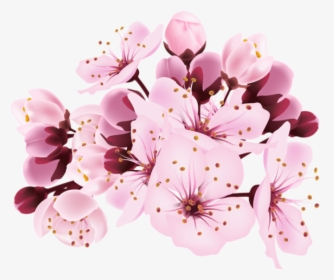 Cherry Blossom Decorative Transparent Image - Cherry Blossoms Transparent Background, HD Png Download, Transparent PNG