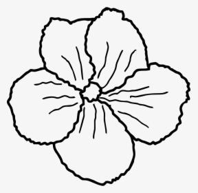 Flower Line Art - Portable Network Graphics, HD Png Download, Transparent PNG