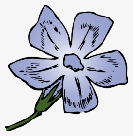 Outline Of Periwinkle Flower, HD Png Download, Transparent PNG