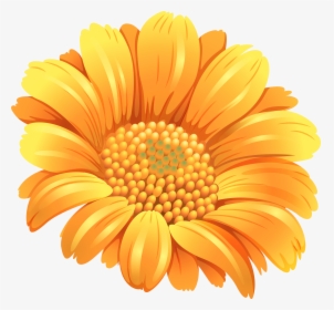 Flower Orange Common Daisy Clip Art - Flower Orange, HD Png Download, Transparent PNG