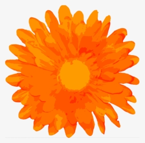 Free Flower, HD Png Download, Transparent PNG