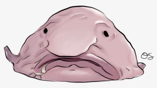Thumb Image - Drawing Of A Blobfish, HD Png Download, Transparent PNG