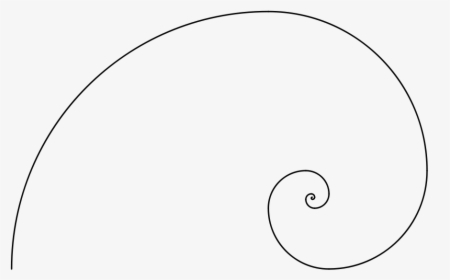 Fibonacci Spiral Svg Clip Arts - Fibonacci Line Spirals Png, Transparent Png, Transparent PNG