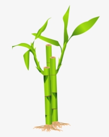 Bamboo Clipart, HD Png Download, Transparent PNG
