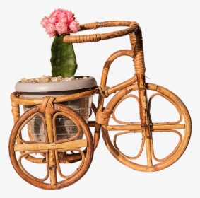 Framed Art For Your Wall Trim Cactus Bamboo Bike Graft - Bicicleta De Jardim Png, Transparent Png, Transparent PNG