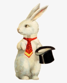 Rabbit Hat Png Background Image - Easter Bunny Top Hat, Transparent Png, Transparent PNG