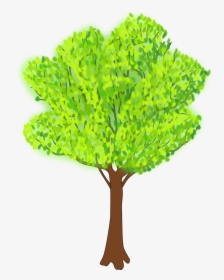 Tree In Summer - Summer Tree Clip Art, HD Png Download, Transparent PNG