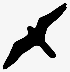 Albatross Bird Clipart Transparent Background, HD Png Download, Transparent PNG