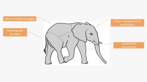 Parts Of An Maa “elephant” - Indian Elephant, HD Png Download, Transparent PNG