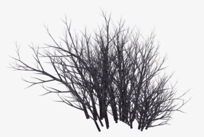 Winter Bush 09 By Wolverine04 - Png Shrubs Black And White, Transparent Png, Transparent PNG